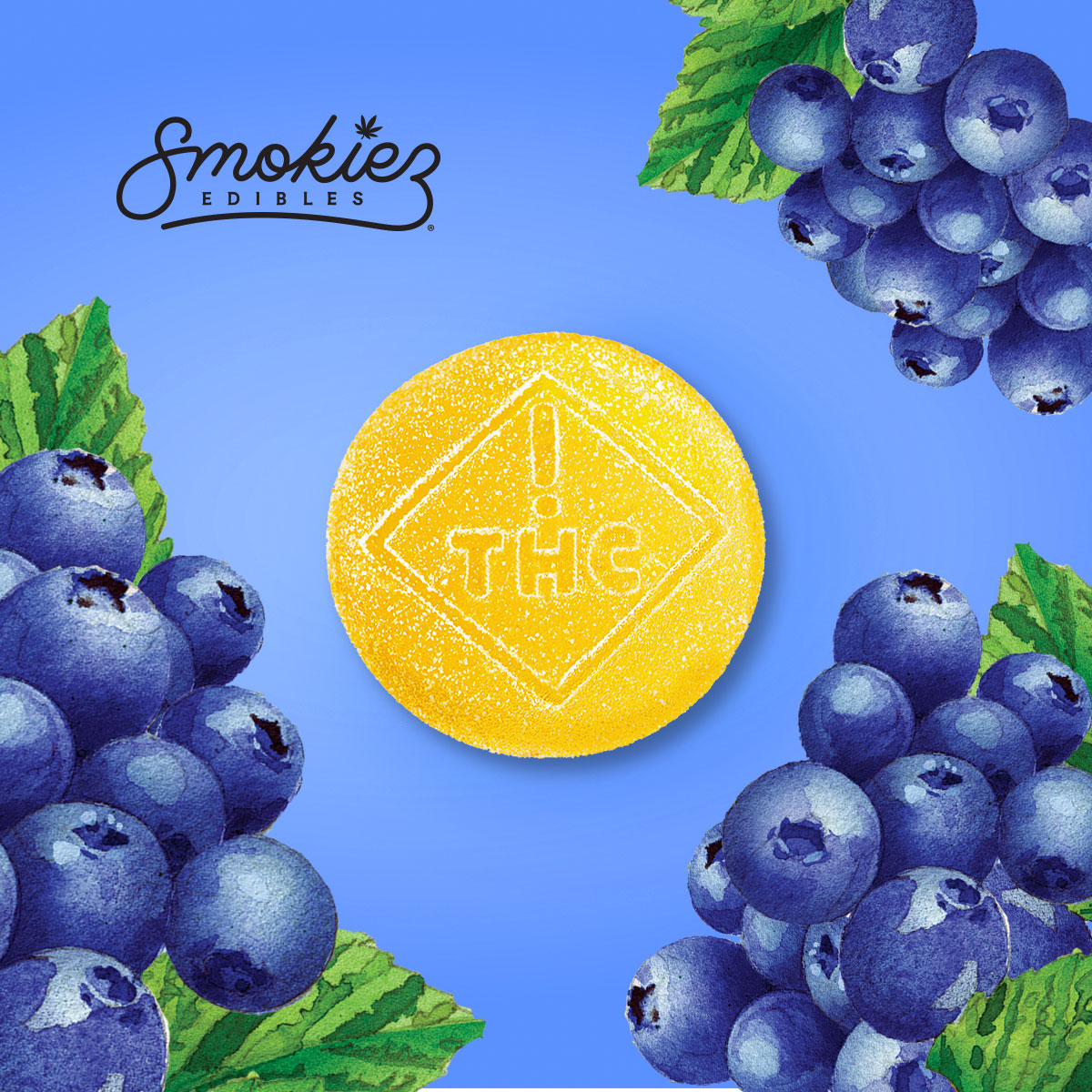Sour Blueberry Gels (100 mg)